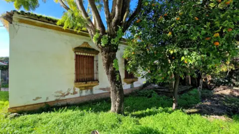 Finca rústica en Valencina de la Concepción