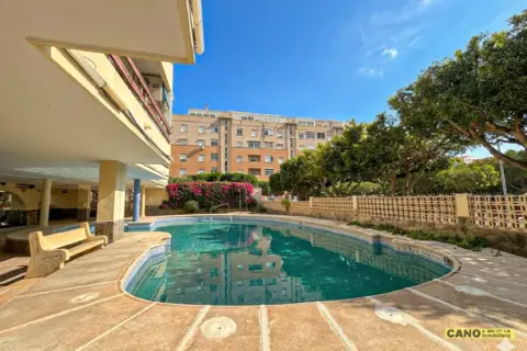 Piso en Paseo del Palmeral