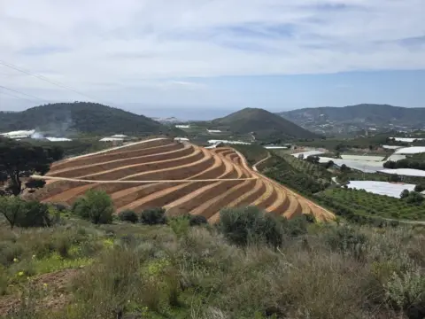 Finca rústica en Matagallares - Cota 200 - Minchal