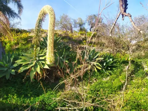 Casa en , Periferia, Zona Rural, Cerca del Pueblo