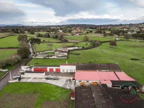 Nave industrial en calle Noreña, nº Sin Informacion