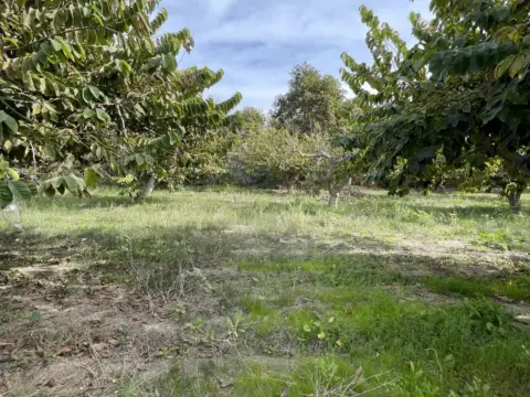 Terreno en Vega de Salobreña