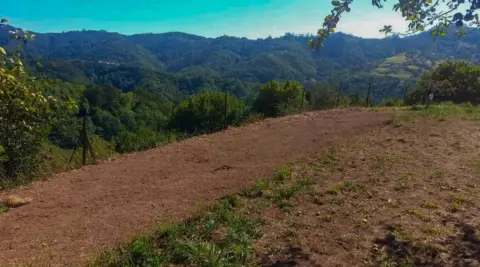 Terreno en Villaviciosa