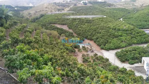 Terreno en Núcleo Urbano