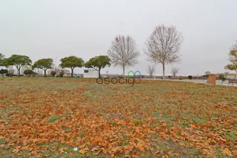 Terreno en Yunquera de Henares