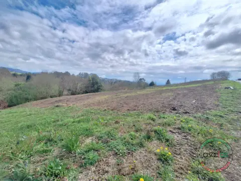Terreno en Camino de la Llosa, nº Sin Informacion