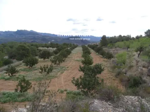 Finca rústica en Xerta