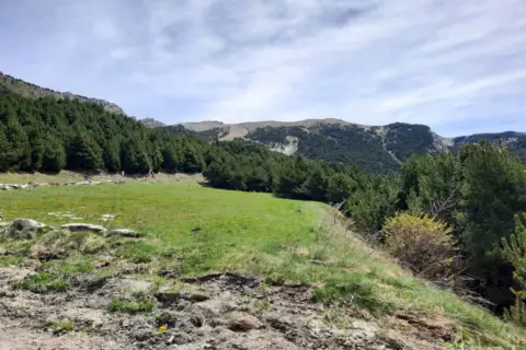3-bedroom townhouse for sale in Canillo · 16 of 16