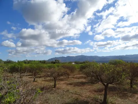 Finca rústica en Xerta