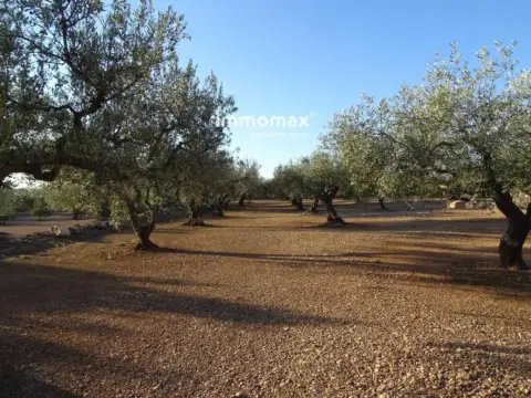 Finca rústica en Xerta