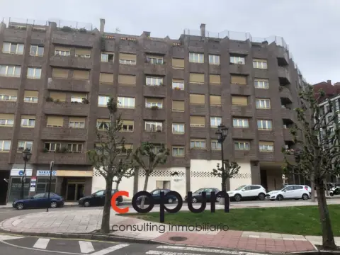 Local comercial en La Florida-Las Campas