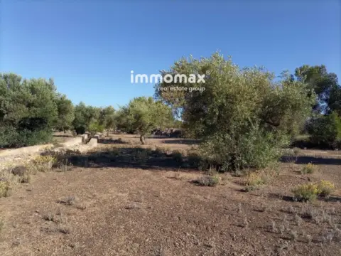 Finca rústica en Xerta