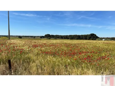 Finca rústica en Paraje El Portillo