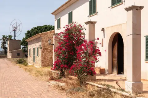 Finca rústica en S'Aranjassa