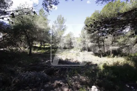 Terreno en Moraira Urbanizaciones