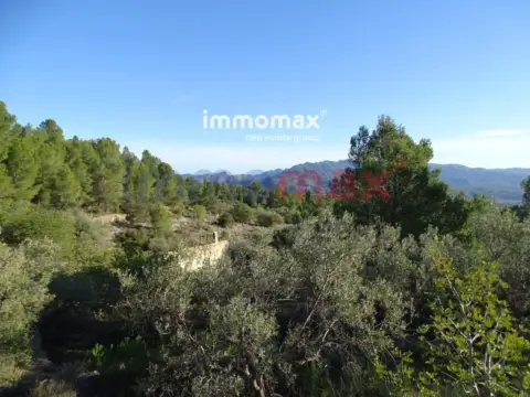 Finca rústica en Xerta