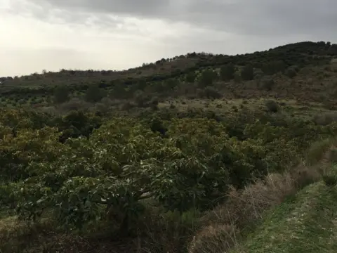 Finca rústica en Campo - Minchal - Matagallares