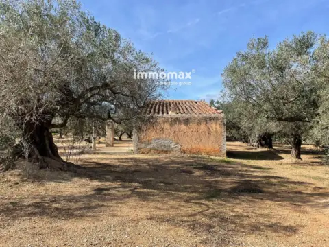 Finca rústica en Aldover