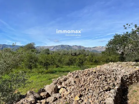 Finca rústica en Aldover