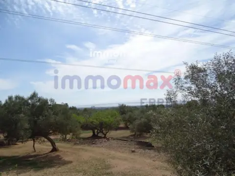 Finca rústica en L'Ampolla
