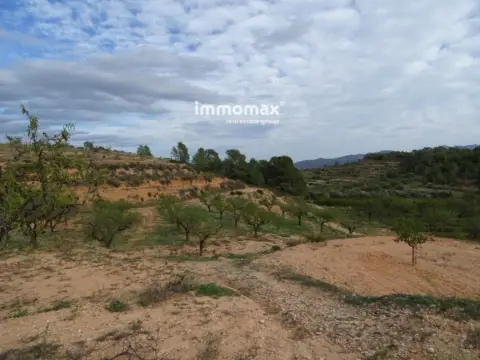 Finca rústica en El Pinell de Brai