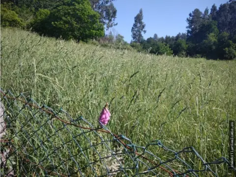 Finca rústica en Concello