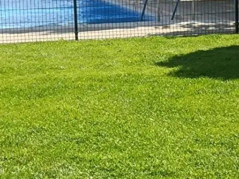 Habitación en calle de las Gardenias, 5