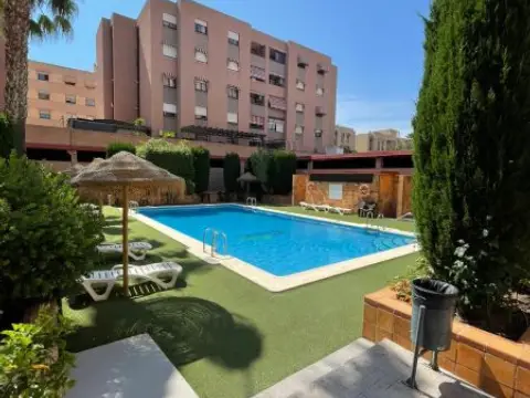 Habitación en calle del Médico Vicente Reyes, 20