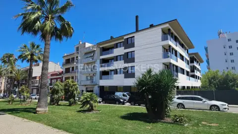 Magnífica promoción en Pineda de Mar