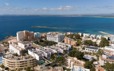 Allure of Sant Jordi by TM