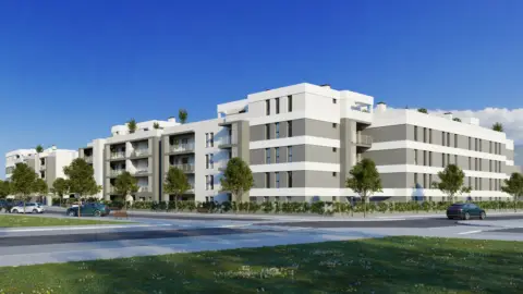 Piso en calle Maimónides S/N, Esquina calle Avicena,  S/N