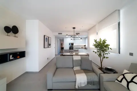 Piso en calle Presidente Adolfo Suarez,  s/n