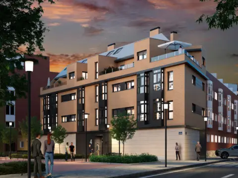 Stella Homes