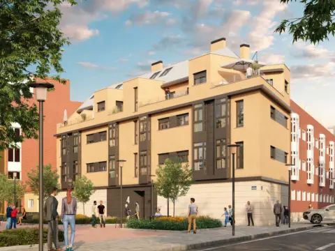 Stella Homes