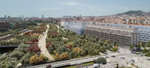 Dúplex en Carrer de Palomar, 70