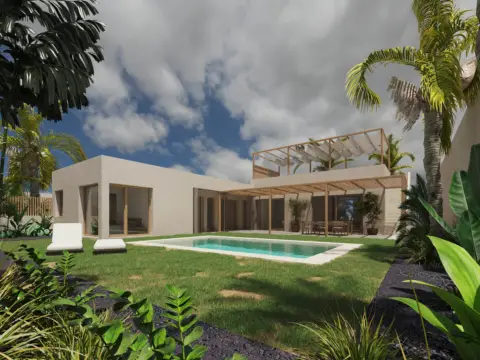 The Coral Collection