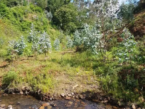Terreno en Carretera 250