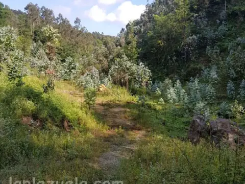 Terreno en Carretera 250