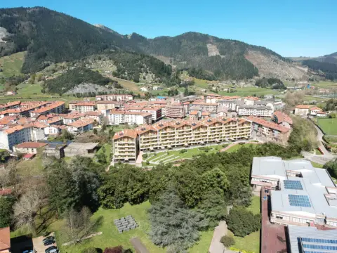 Markina-Xemein: Zelaialde