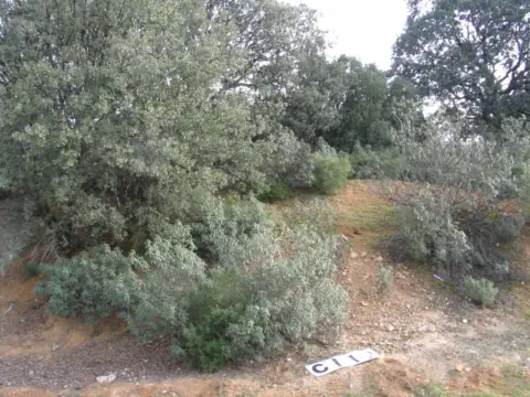Terreno en calle de las Encinas, 112