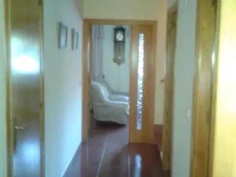 Chalet unifamiliar en calle Miguel Servet, nº 14