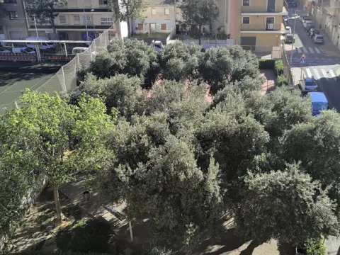 Piso en calle de Manuel Dualde, 4