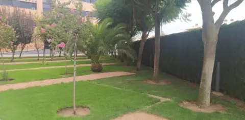 Piso en Avenida Escriba Lubna,  8