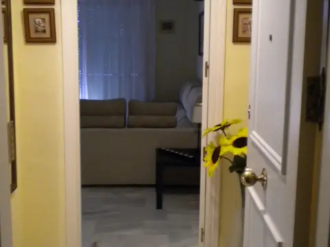 Piso en Avenida Reina Sofía, 1