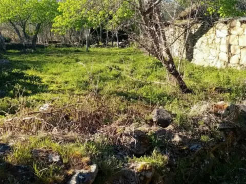 Finca rústica en calle Cobreros, 3
