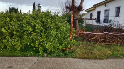 Finca rústica en calle Mayor en Llano de Brujas, 27