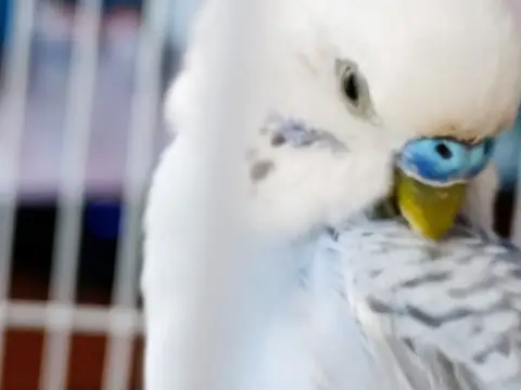 Local comercial en Gran Vía de La Manga, 1