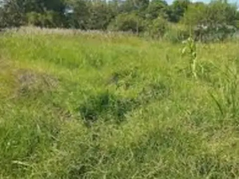Terreno en Camino Salamanca, 1