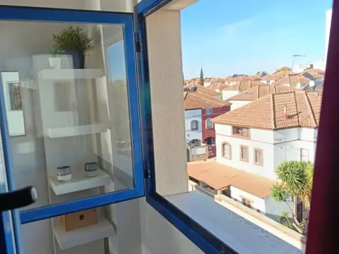 Estudio en calle Alcázar, 3