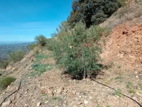 Terreno en Camino Real de La Torre,  1